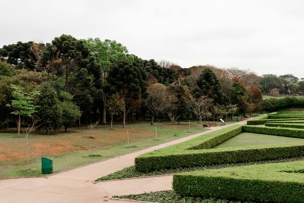 Entreprise espace vert à Paris : pour un jardin replanté durablement !